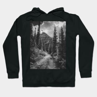 Landscape Photography Jasper National Park V4 Hoodie